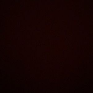 Meet your Posher, Anabelle